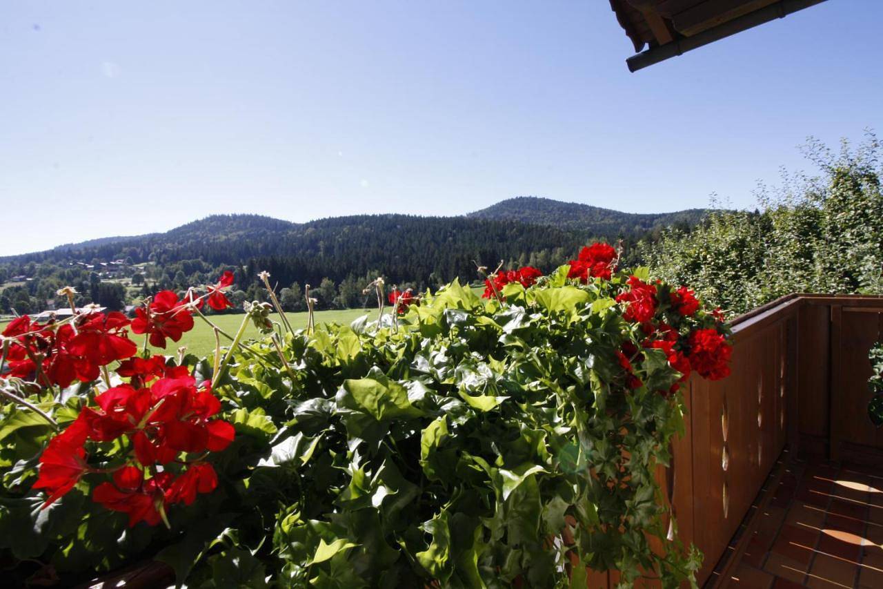 Pension Schuasterhof in Bodenmais, Ostbayern