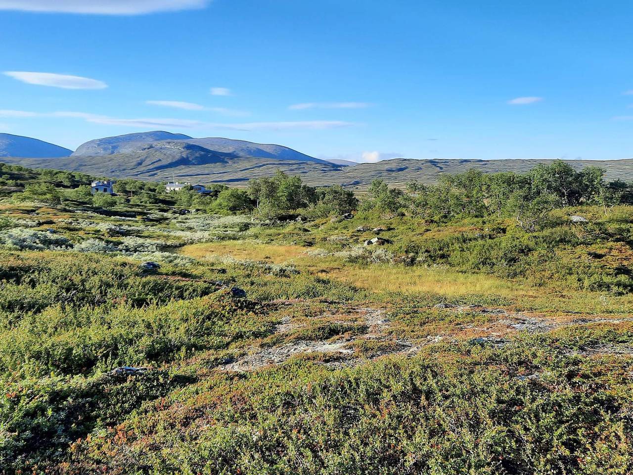 5 stjarniga stuga i Sälen in Stöten, Malung-Sälen region
