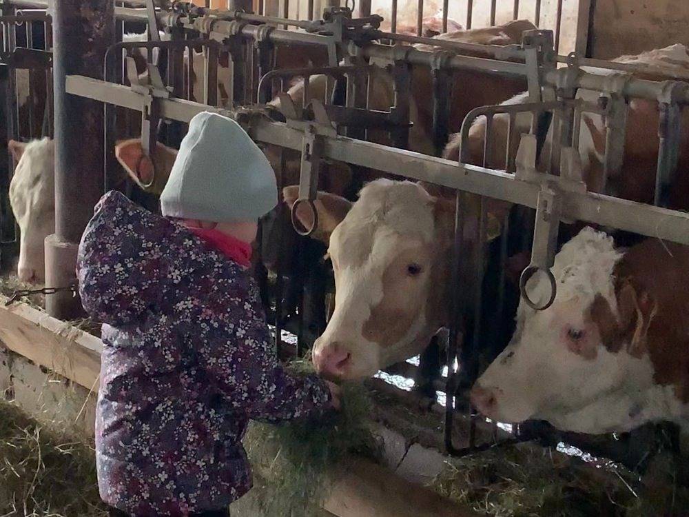 Schwaigerhof - Wendelstein in Wackersberg, Tölzer Land