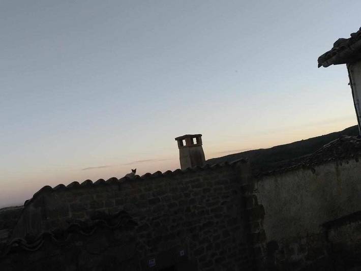 Casa rural con piscina para 4 personas, con terraza además de jardín y piscina en Provincia de Zaragoza - 3