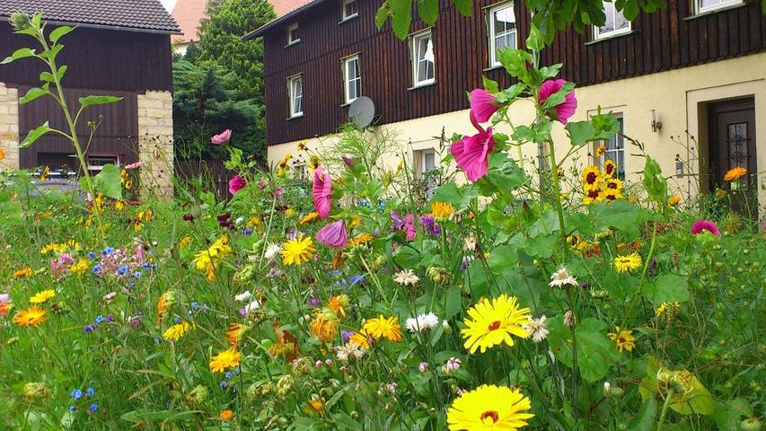 Ferienwohnung für 2 Personen, mit Garten in Struppen - 2