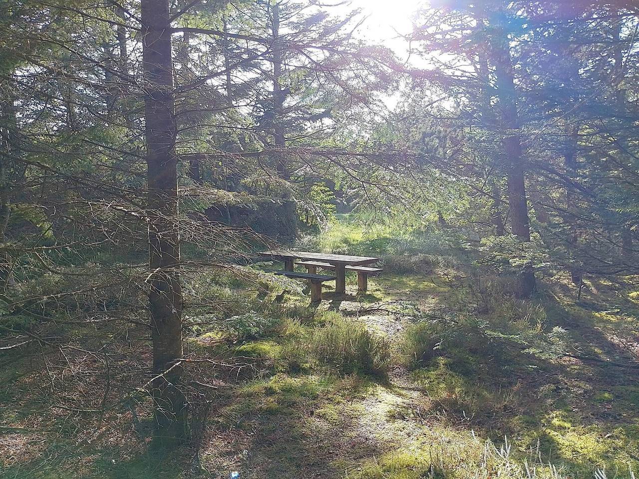 Familienfreundliches Refugium am Strand -- By Traum Ferienwohnungen in Lild Strand, Dänemark an der Nordsee