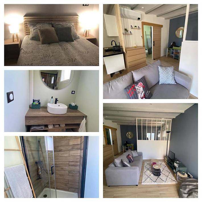 Location de vacances pour 3 personnes, avec terrasse ainsi que jardin et piscine à Lautrec - 3