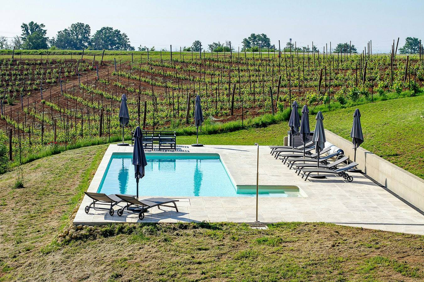 Elegante villa immersa nel proprio vigneto con piscina in Fubine, Provincia d'Alessandria