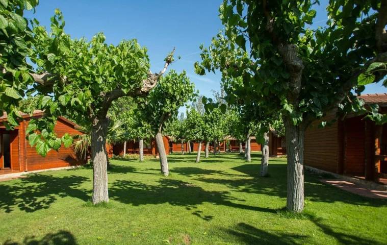 Camping pour 5 personnes, avec piscine ainsi que bassin pour enfant et terrasse à Cambrils - 3