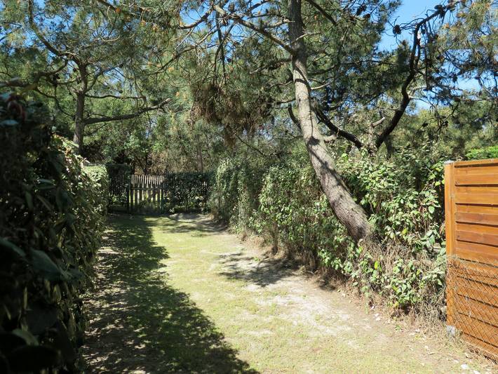 Gîte pour 2 personnes, avec terrasse, animaux acceptés à Carcans - 2