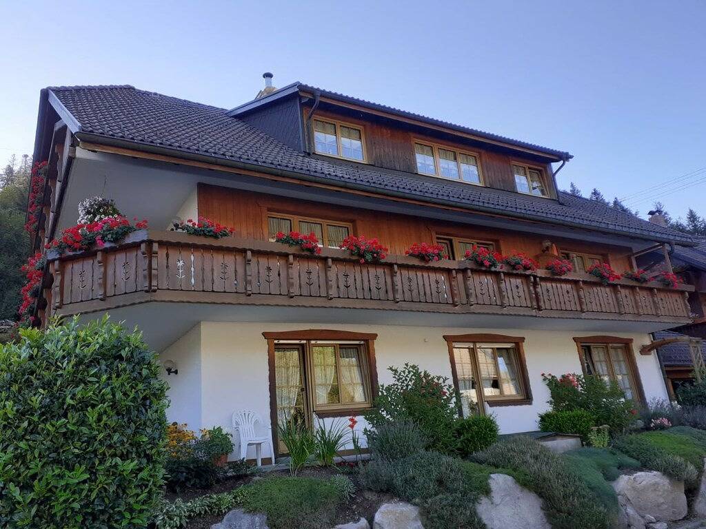 Ferienwohnung mit 1 Schlafzimmer in Suedlicher Schwarzwald, Sankt Blasien