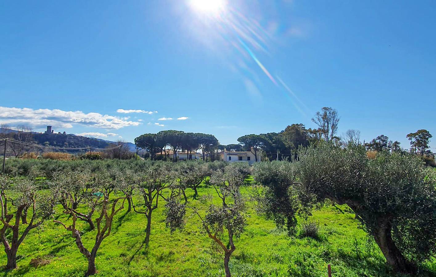 Appartement de vacances entier, Appartement en bord de mer avec WiFi et parking in Cilento