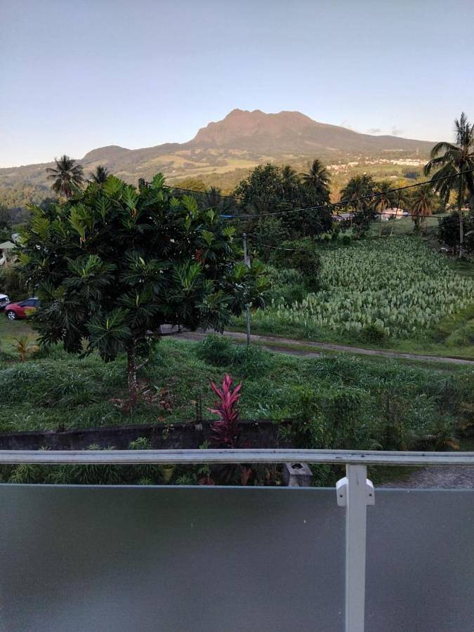 Gîte pour 3 personnes, avec jacuzzi ainsi que balcon et piscine à Le Lorrain (Martinique) - 2
