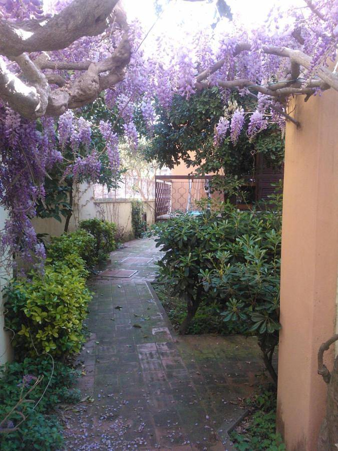 Apartamento de vacaciones para 4 personas, con vistas y terraza, Se admiten mascotas - 1