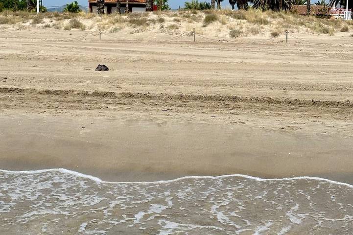 Casa vacanza per 14 persone, con animali domestici - 1