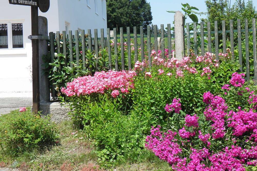 Ganze Wohnung, Ferienwohnung für einen erholsamen Urlaub in Argenbühl, Württembergisches Allgäu