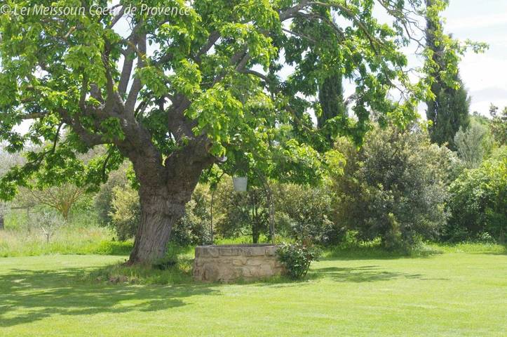 Location de vacances pour 3 personnes, avec piscine ainsi que vue et jardin à Mallemort - 4