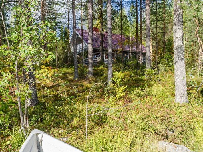 Metsätähti in Pielinen