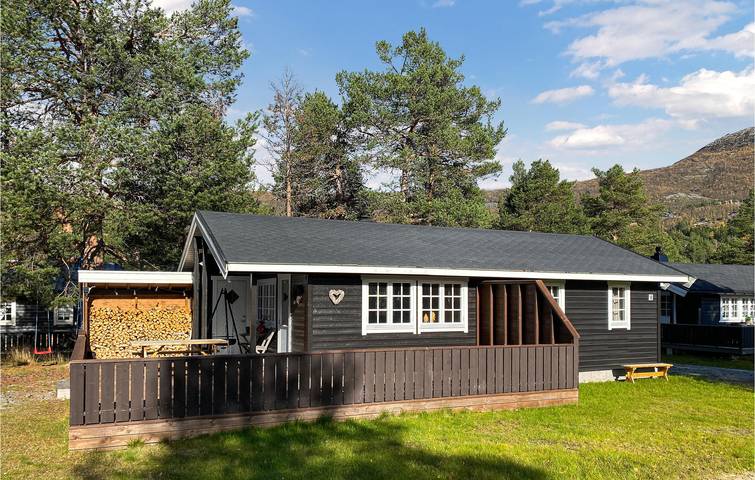 Ferienhaus für 6 Personen mit Terrasse in Bjorli, Lesja