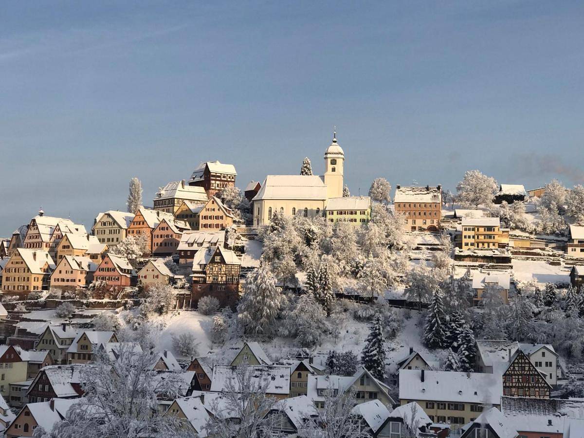 Ganze Wohnung, Retro Ferienwohnung mit Schlossblick im Nordschwarzwald in Altensteig, Nordschwarzwald