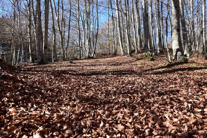 Gîte pour 3 personnes, avec vue à Serra San Bruno - 2