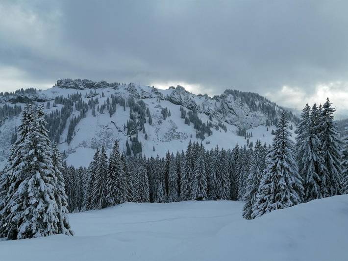 Ferienwohnung für 3 Personen, mit Balkon in Bolsterlang - 4