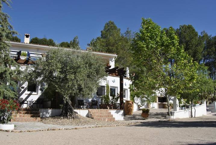 Offer view
