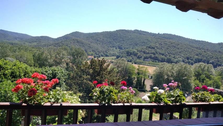 Casa rural para 16 personas, con jardín además de piscina y vistas, Se admiten mascotas en Vall de Bas - 2