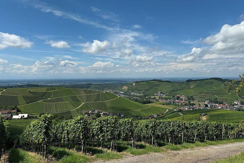 Ganze Wohnung, Staufenbergblick Durbach in Durbach, Mittlerer Schwarzwald