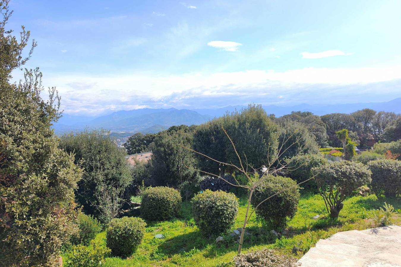 Apartment 3 rooms with garden in Ajaccio in Ajaccio, Ajaccio region