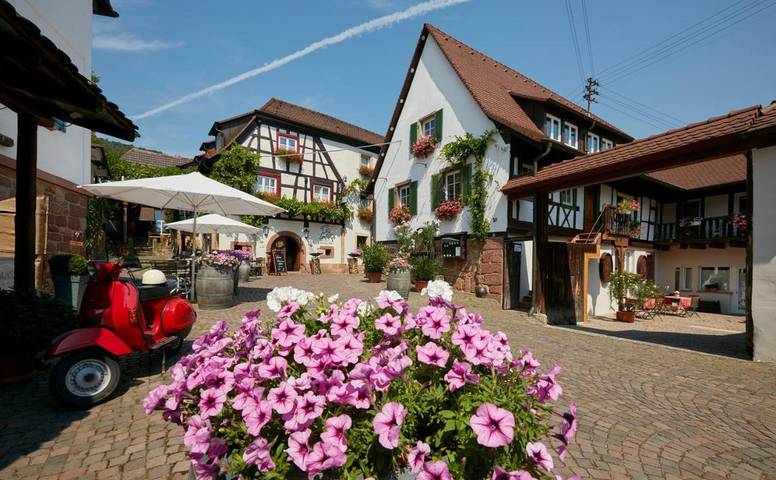Hotel für 3 Personen, mit Terrasse und Garten sowie Sauna und Ausblick in Gleiszellen-Gleishorbach