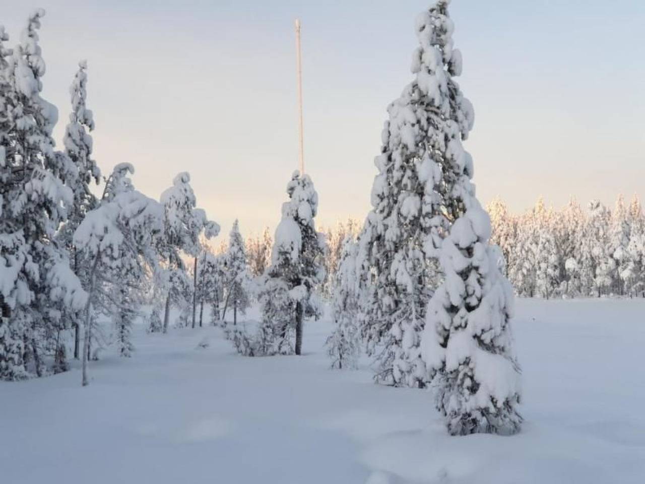Gemütliches Ferienhaus in der Wildnis Lapplands in Västerbotten