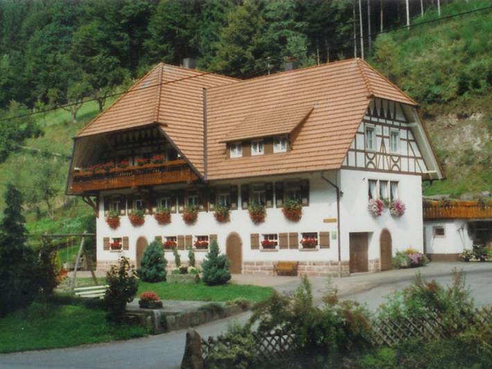 Ferienwohnung für 4 Personen, mit Ausblick und Balkon sowie Garten, kinderfreundlich - 1