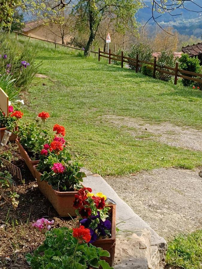 Double Room with Private External Bathroom in Castiglione di Garfagnana, Garfagnana