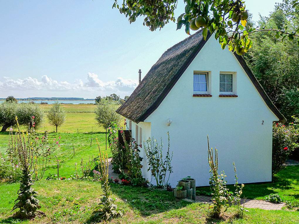 Ganze Ferienwohnung, D 128.885 Studio Timm - Parterre in Hiddensee, Vorpommern-Rügen