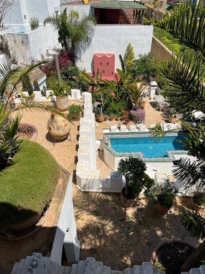 Gîte pour 3 personnes, avec sauna ainsi que jardin et piscine dans Asilah - 3
