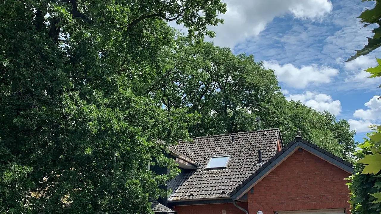 Ganze Ferienwohnung, Ferienwohnung für 4 Personen (60 m²) in Neuenkirchen in Neuenkirchen (Lüneburger Heide), Landkreis Heidekreis