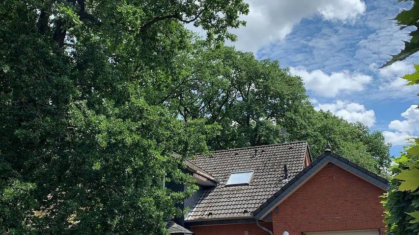 Ferienwohnung für 4 Personen, mit Garten in Neuenkirchen (Lüneburger Heide) - 2