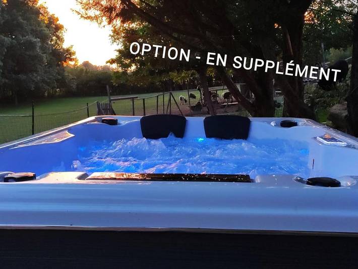 Tente pour 3 personnes, avec vue ainsi que jardin et piscine, animaux acceptés dans le Tarn - 4