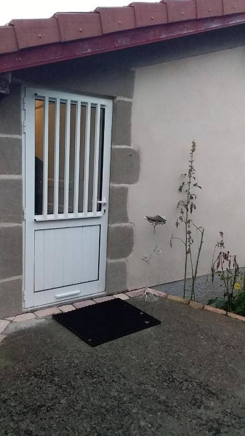 Gîte pour 4 personnes, avec jardin et vue à Saint-Genest-Lerpt - 2