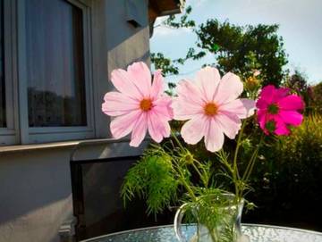 Bungalow für 4 Personen in Sassnitz, Rügen, Bild 3