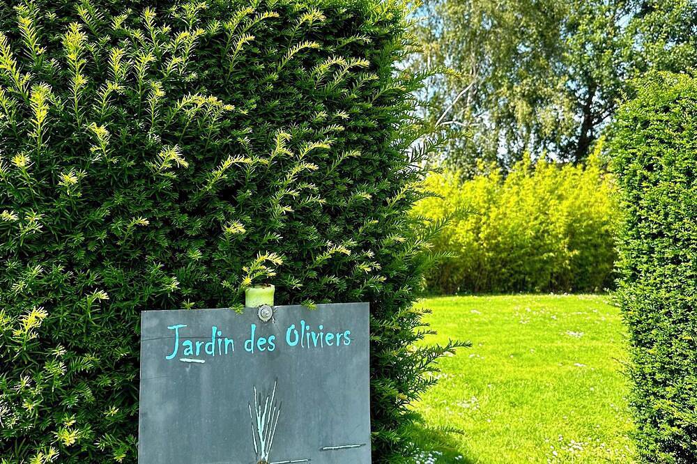 Les Jardins d'Ilona \"Les Oliviers\" Casa rural 4 personas - Piscina compartida / Jardín privado in Arques, Región de Saint-Omer