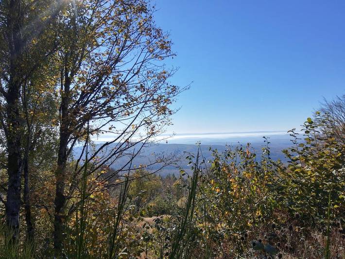 Gîte pour 2 personnes, avec terrasse et vue dans La Planche des Belles Filles - 4