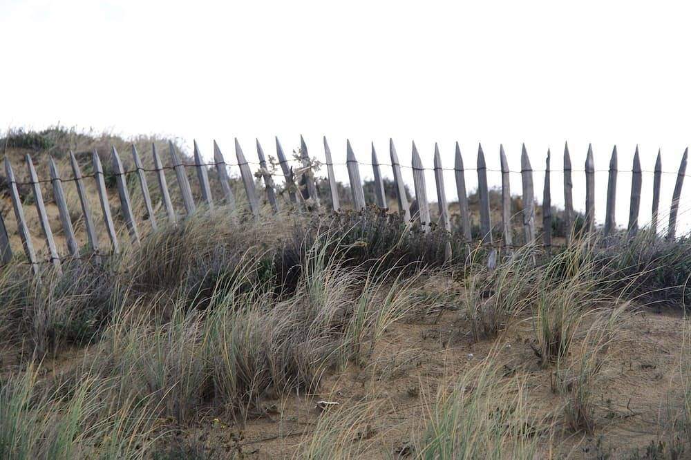 Entre dunes et forêt à 200 mètres de la plage in La Terrière, La Tranche-sur-Mer
