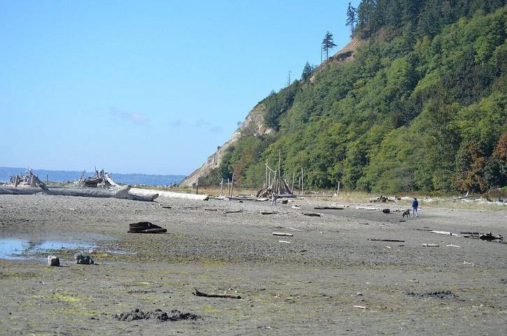 Cabin for 2 people, with yard and terrace in Whidbey Island