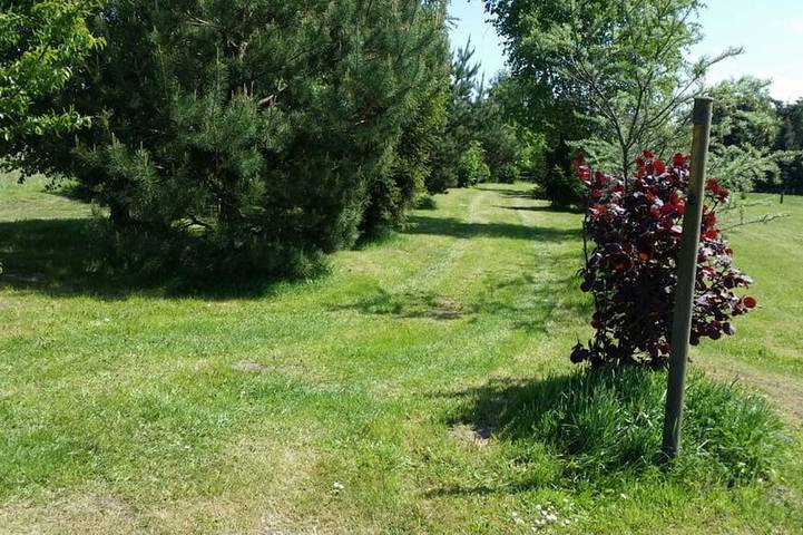 Ferienhaus für 4 Personen, mit Garten in Ueckermünde - 3