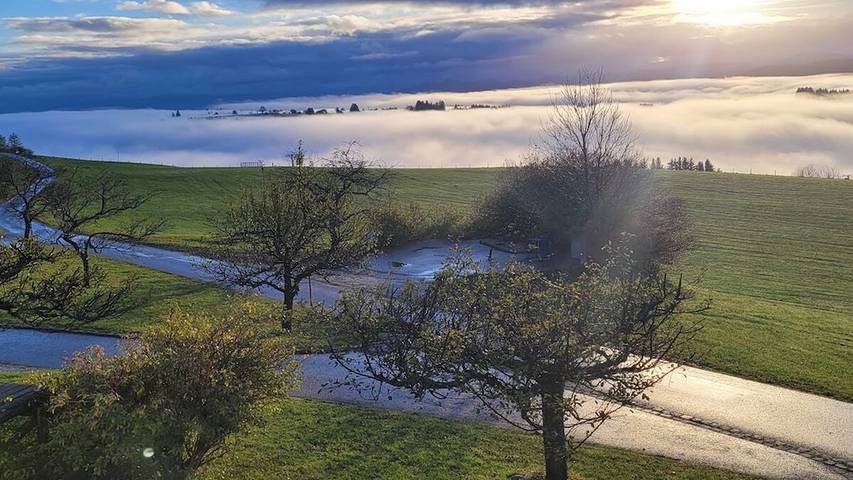 Ferienhaus für 12 Personen, mit Sauna in Weitnau - 3