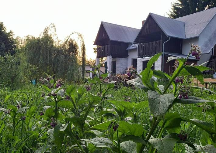 Ferienwohnung für 3 Personen, mit Garten, mit Haustier - 1