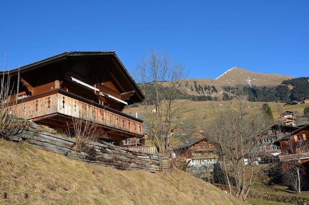 Ganze Wohnung, Marmotte, Chalet Appartement/Fewo, Dusche, Wc 4-Bettwohnung in Lauenen b. Gstaad, Lauenen