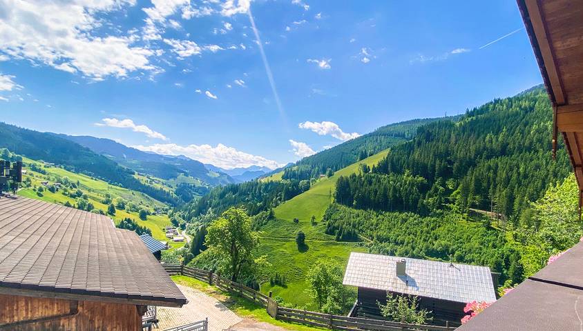 Bauernhaus für 4 Personen, mit Garten, kinderfreundlich in Ski Amadé - 3