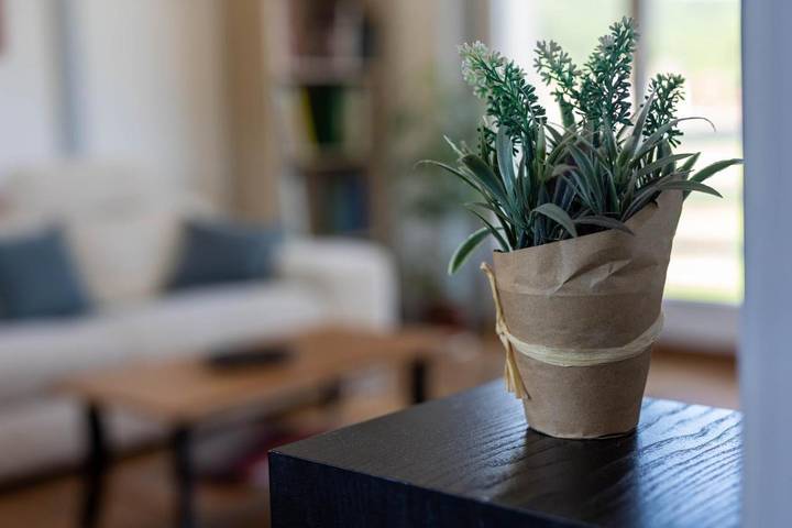 Gîte pour 7 personnes, avec jardin et vue à Granges-sur-Vologne - 4
