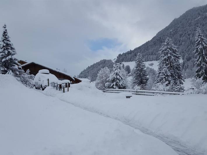 Ganze Wohnung, Burkhalter in Saanenmöser, Zweisimmen