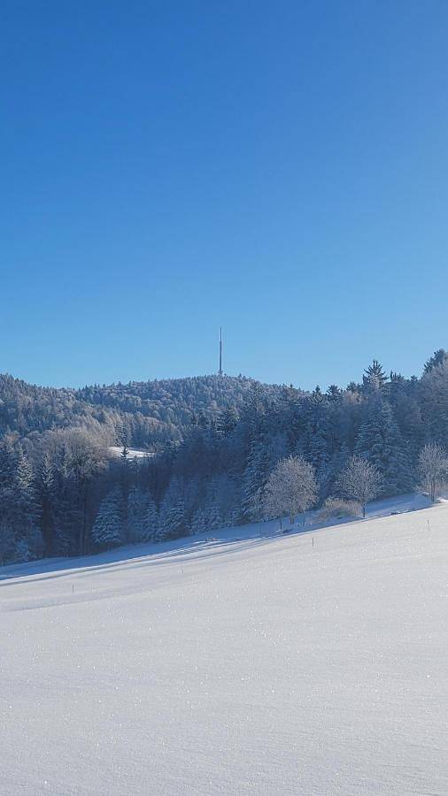 Ferienhaus für 2 Personen, mit Ausblick und Garten in Schöfweg - 4