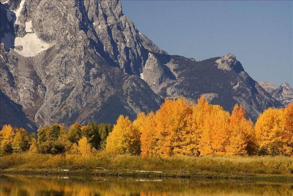 Ganze Wohnung, Schöne Creekside Eigentumswohnung in der malerischen Innenstadt von Jackson Hole! in Jackson (WY), Grand Teton Nationalpark